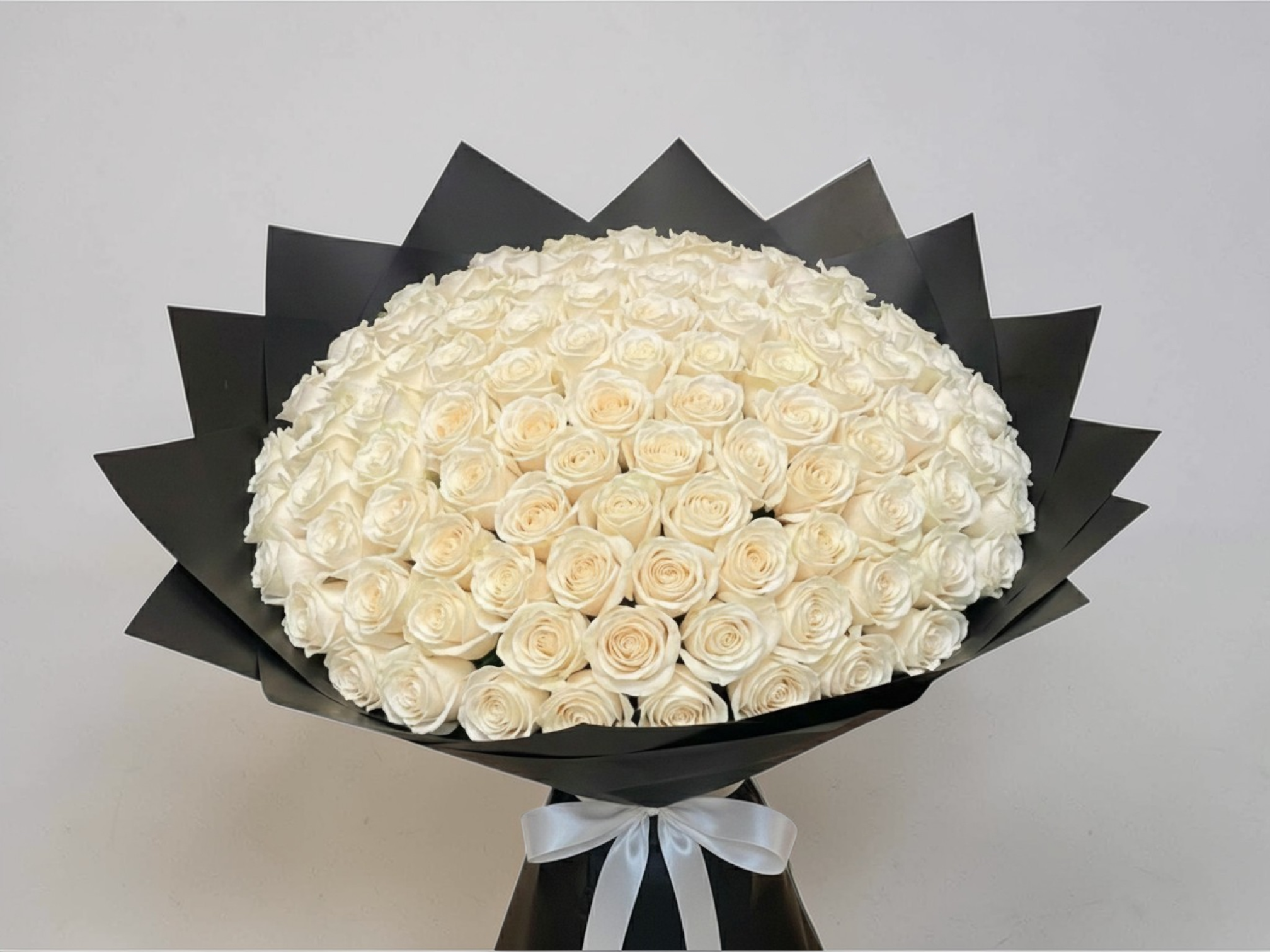 100 White Roses_0