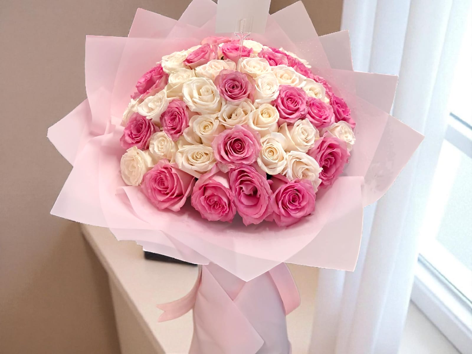 50 White and Pink Roses_0