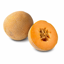 شمام حلو – الأردن (حبة تقريباً 2.5–3كجم) / Sweet Melon – Jordan (approx. 2.5–3 kg)