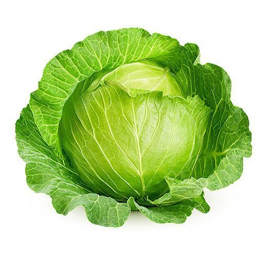Cabbage 