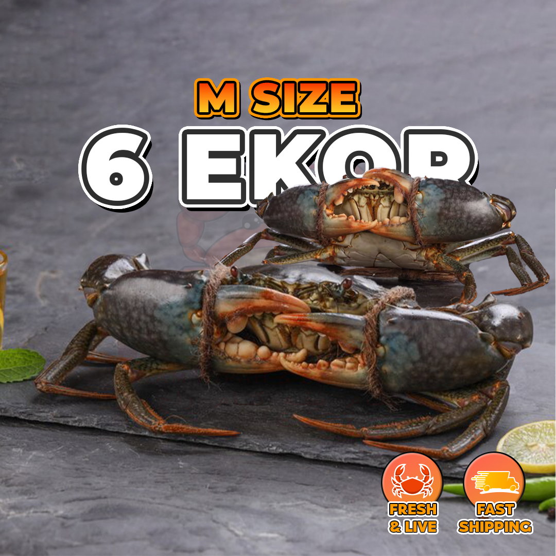 【Hidup Fresh】Mud Crab | Ketam Nipah_1