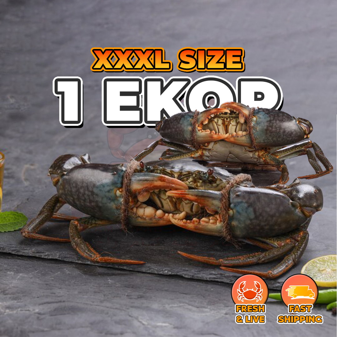 【COMBO】Hidup Ketam Nipah_5