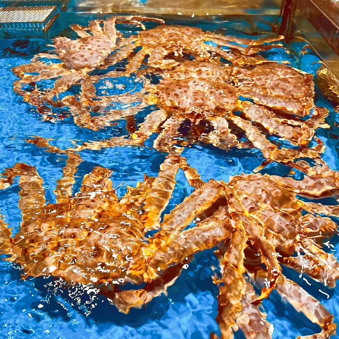 Alaskan King Crab_5
