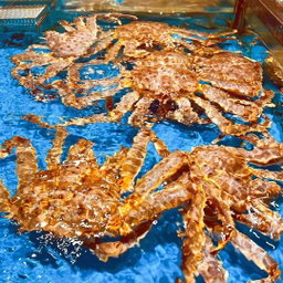 Alaskan King Crab