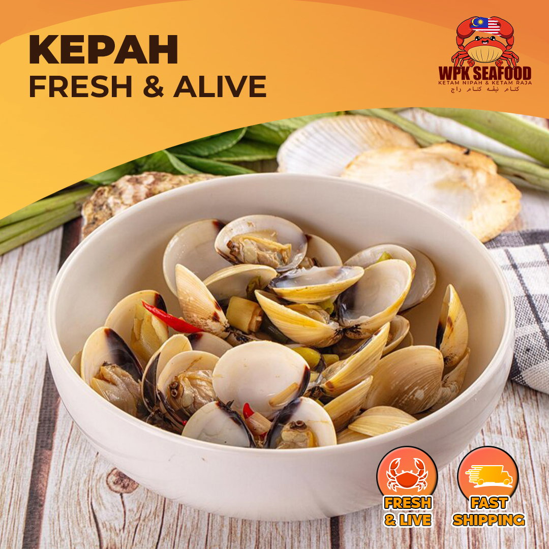 Kepah LALA_1