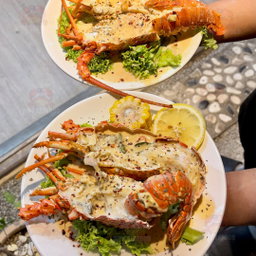 Afrika Rock Lobster