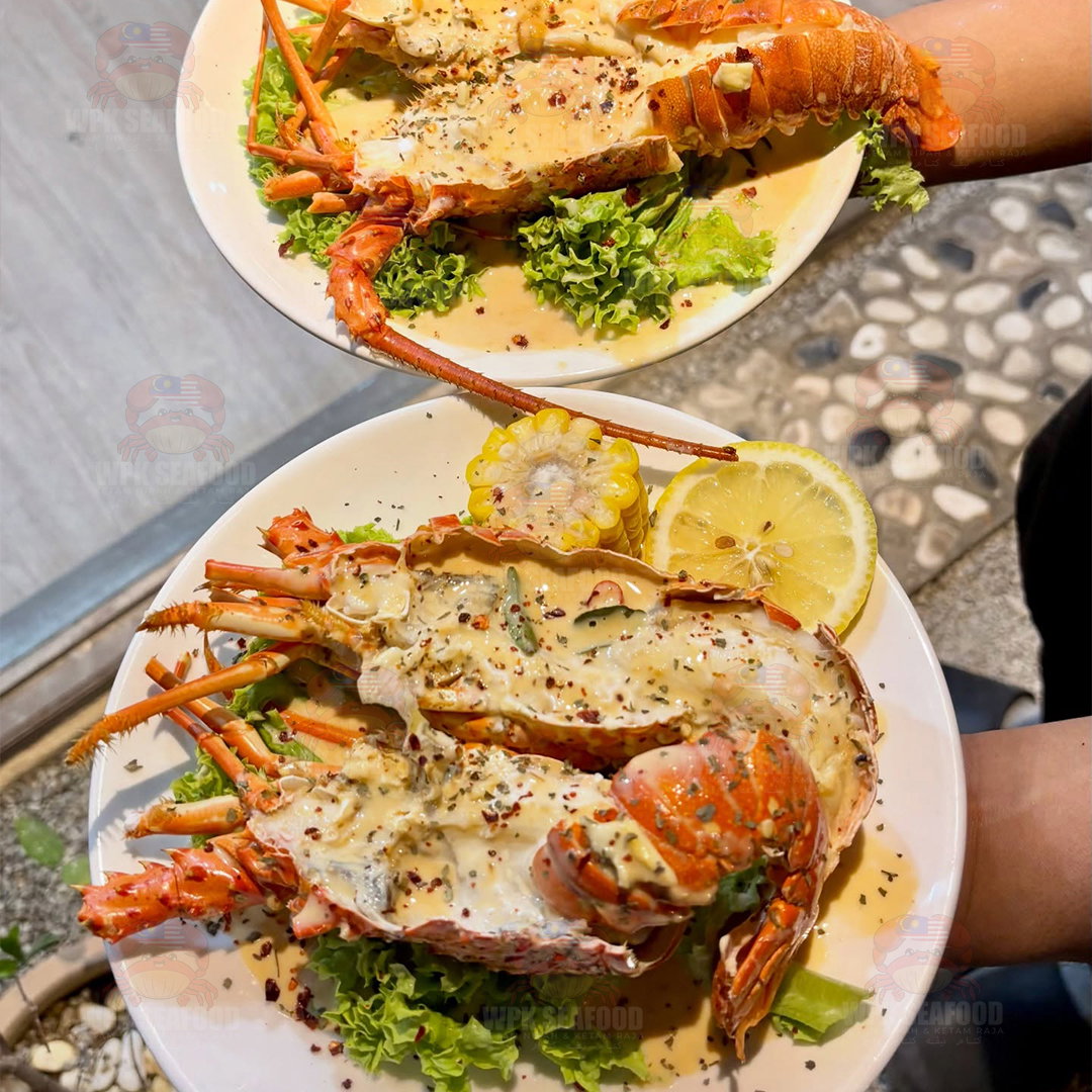 Afrika Rock Lobster_2