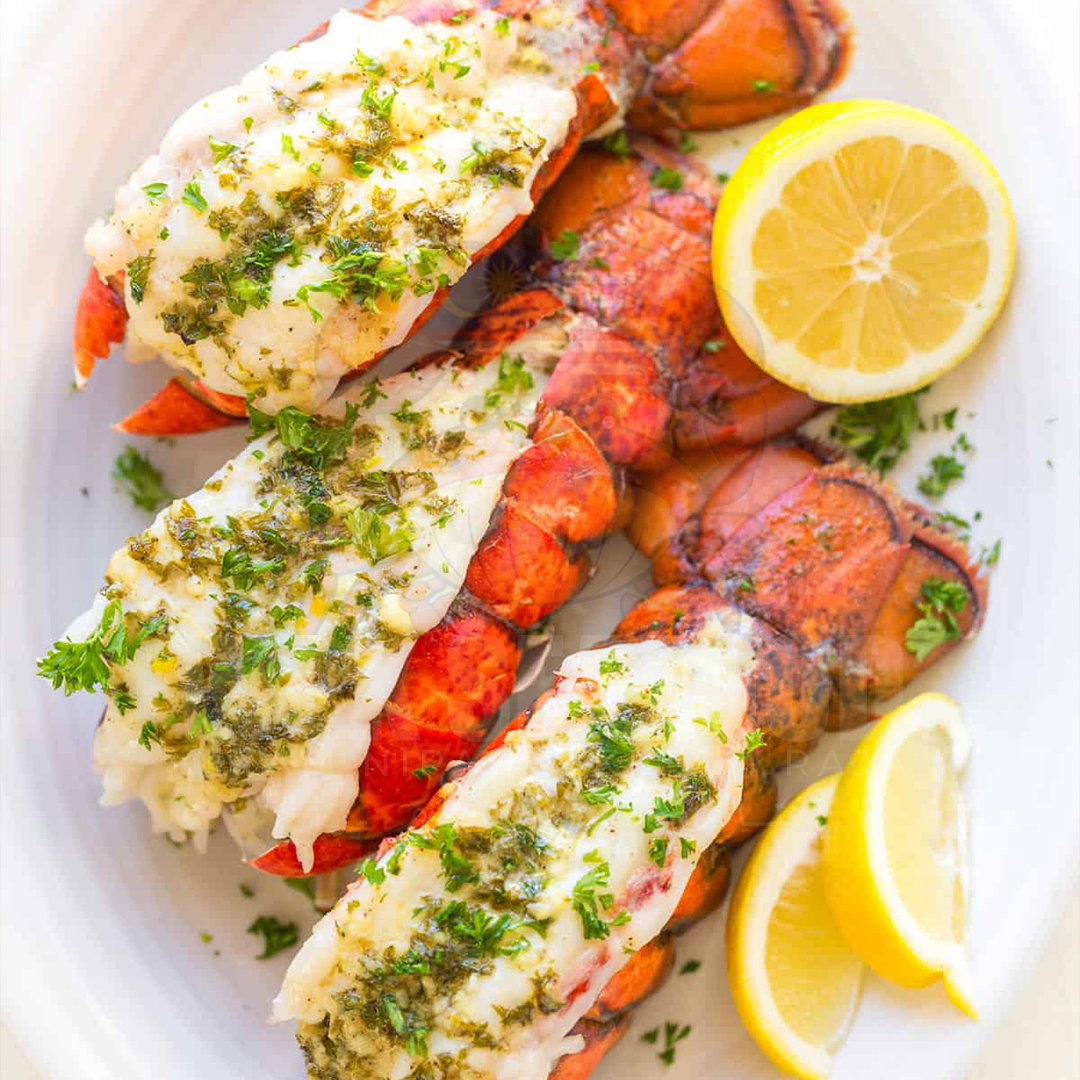 Afrika Rock Lobster_3