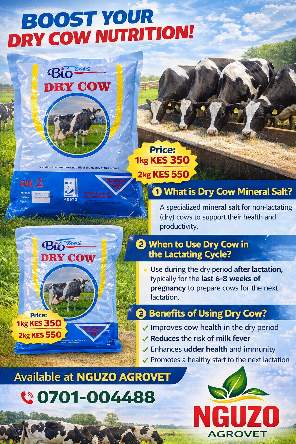 BIO-PLUS DRY COW MINERAL SALT _0