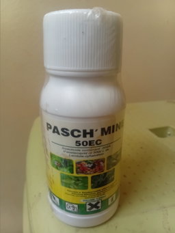 Pasch'mine 125 ml