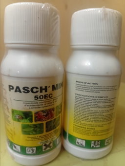 Pasch'mine 125 ml