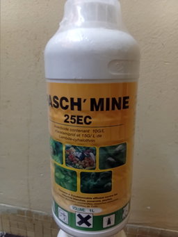 Pasch'mine 1L