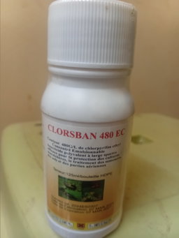 Clorsban 125ml