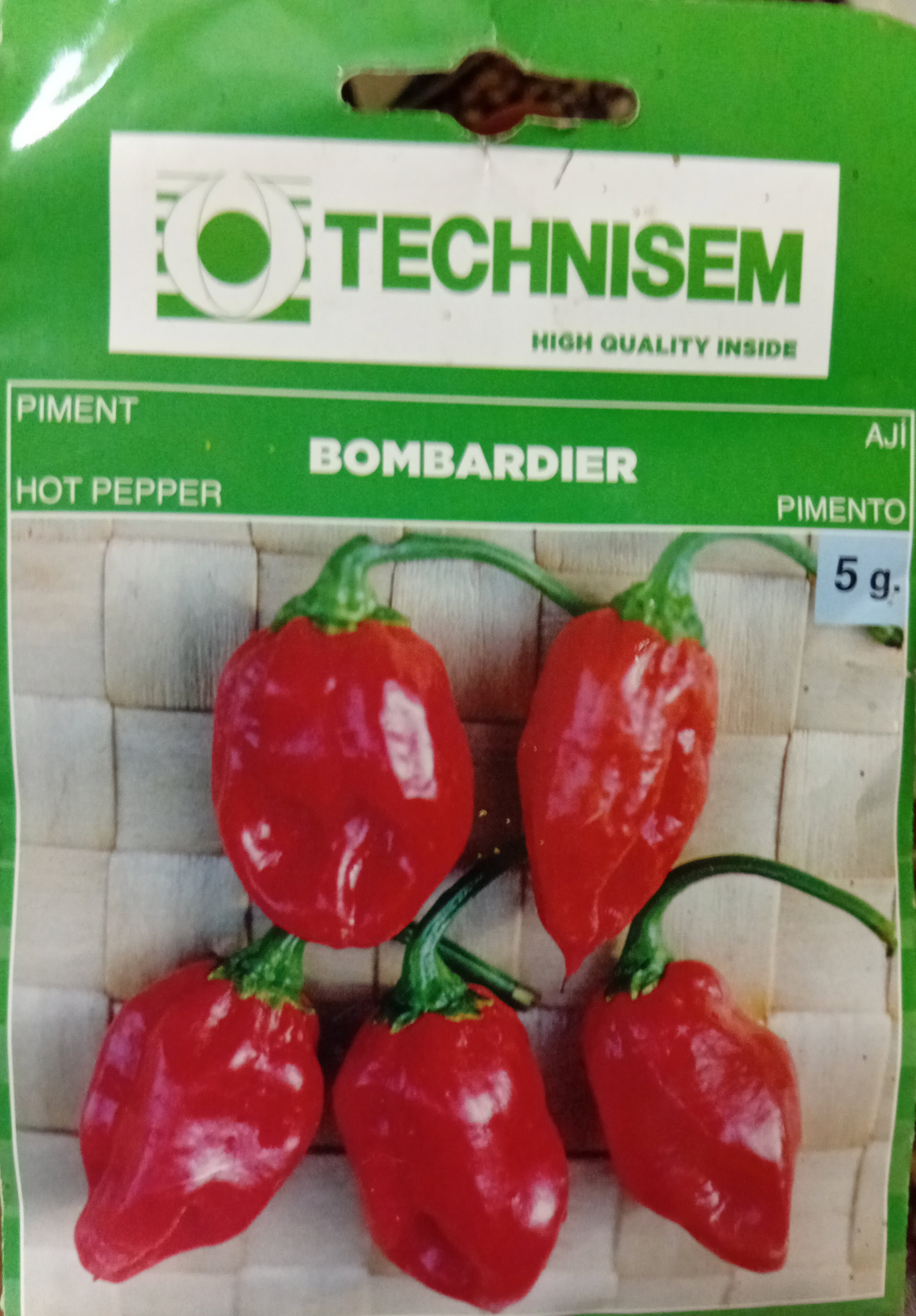 Semences Bombardier Sofia _0