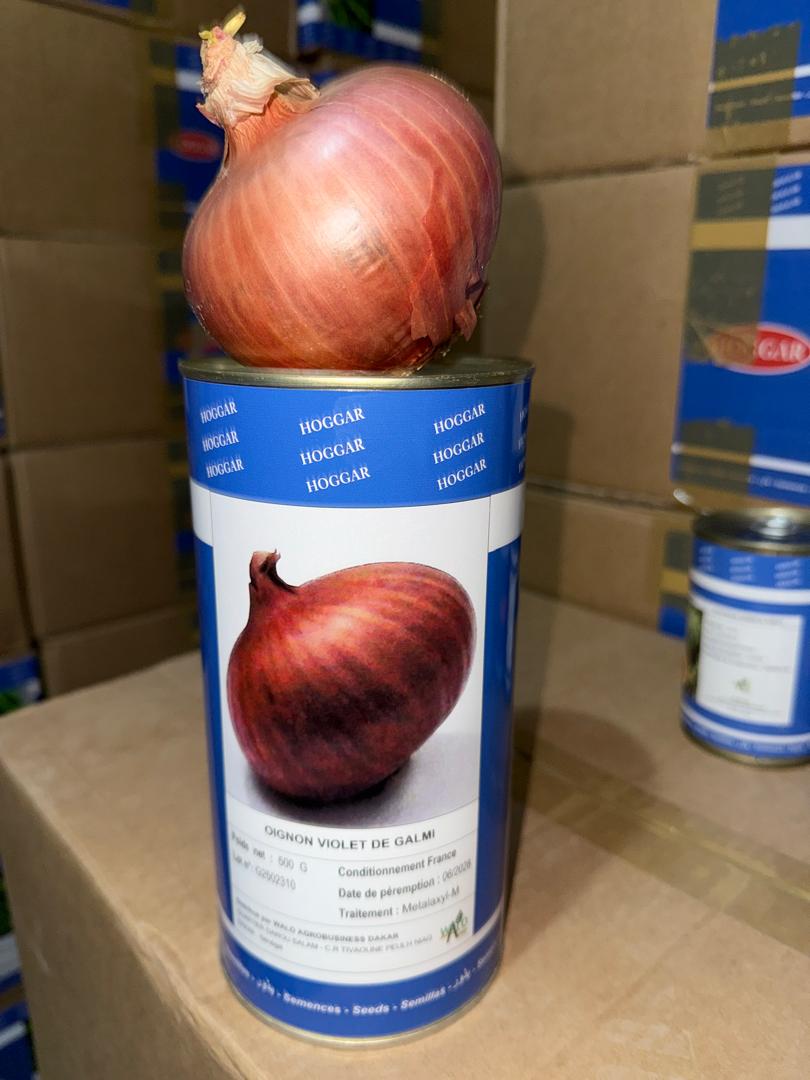 Semences Oignon Hoggar 500g_0