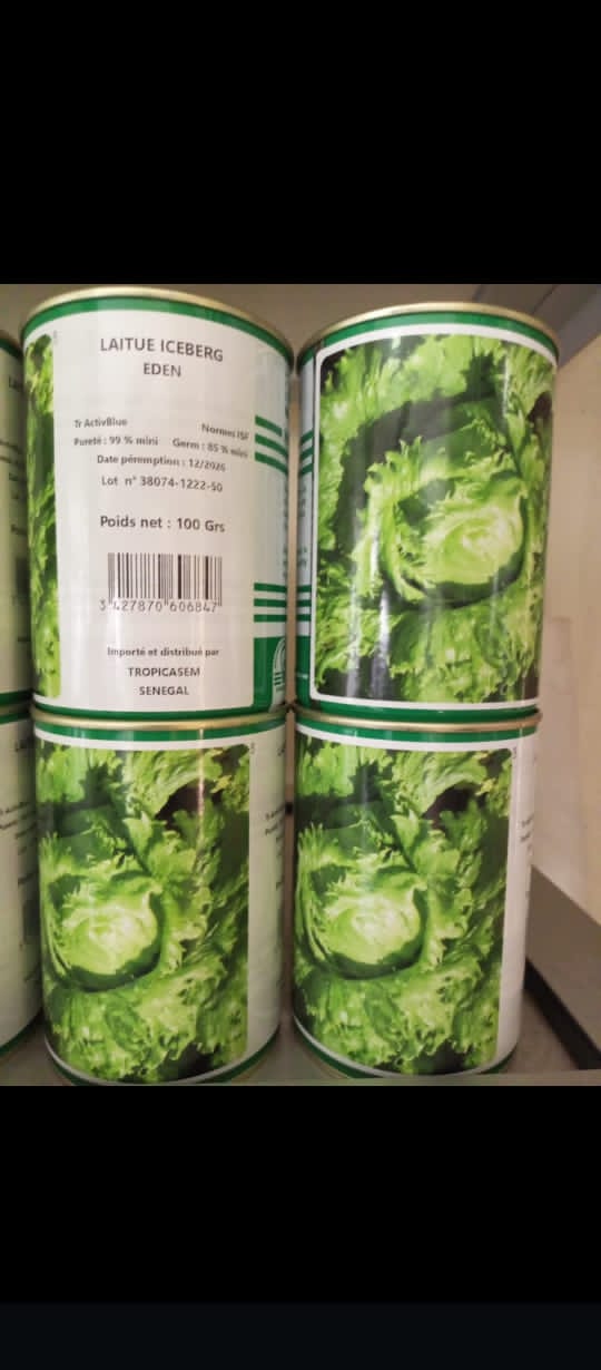 Laitue Eden 100g