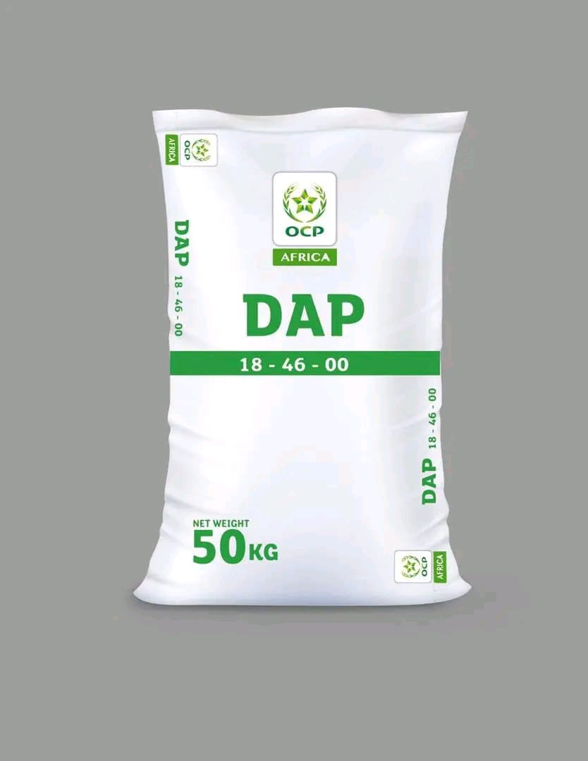 DAP 18-46-00 50 kg