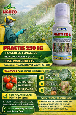 FUNGICIDES