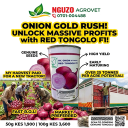 RED TONGOLO F1 