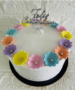 Pasteles (Sabores a Elegir)