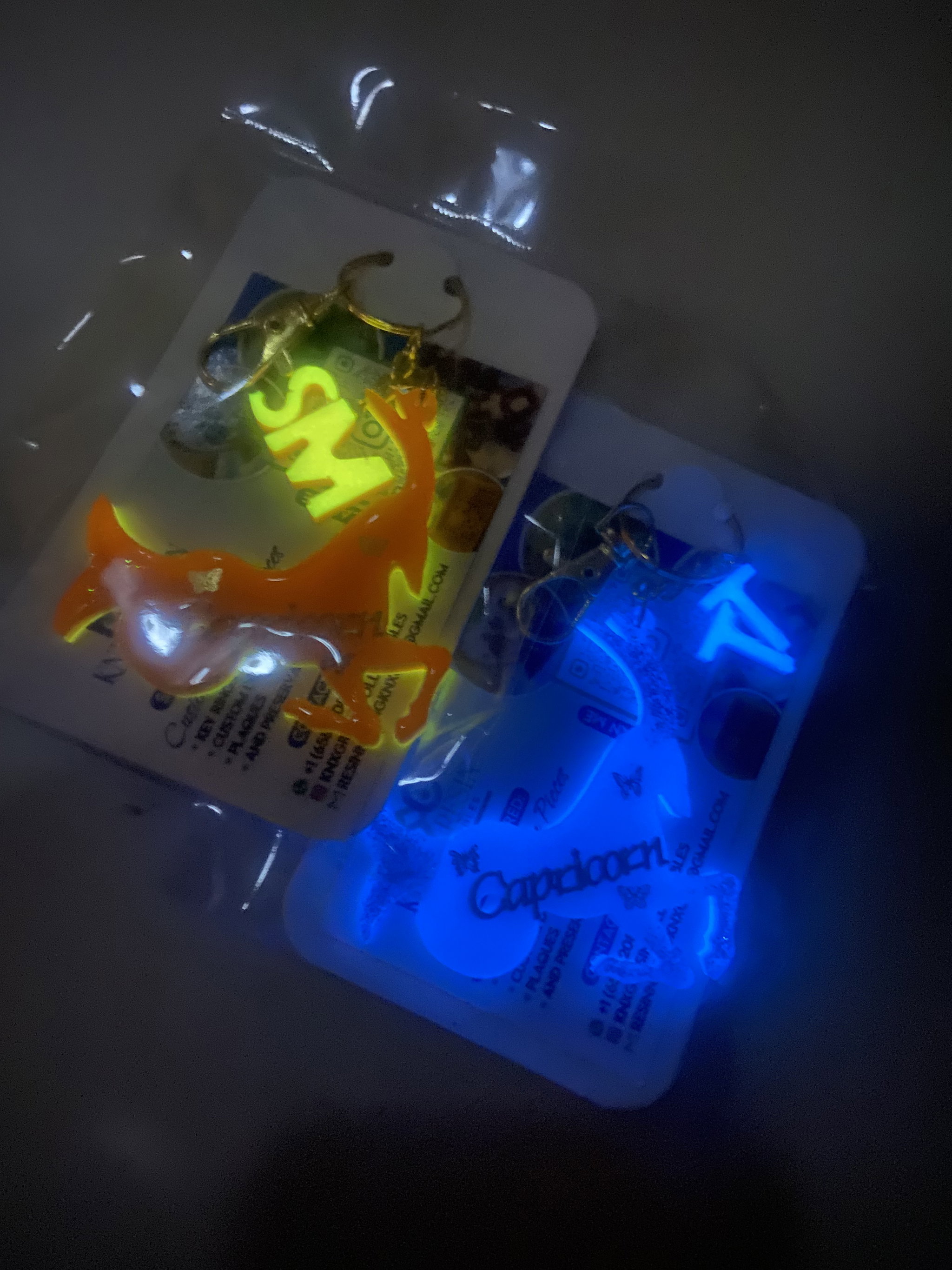 Glow in Dark Zodiac Keyrings  _1