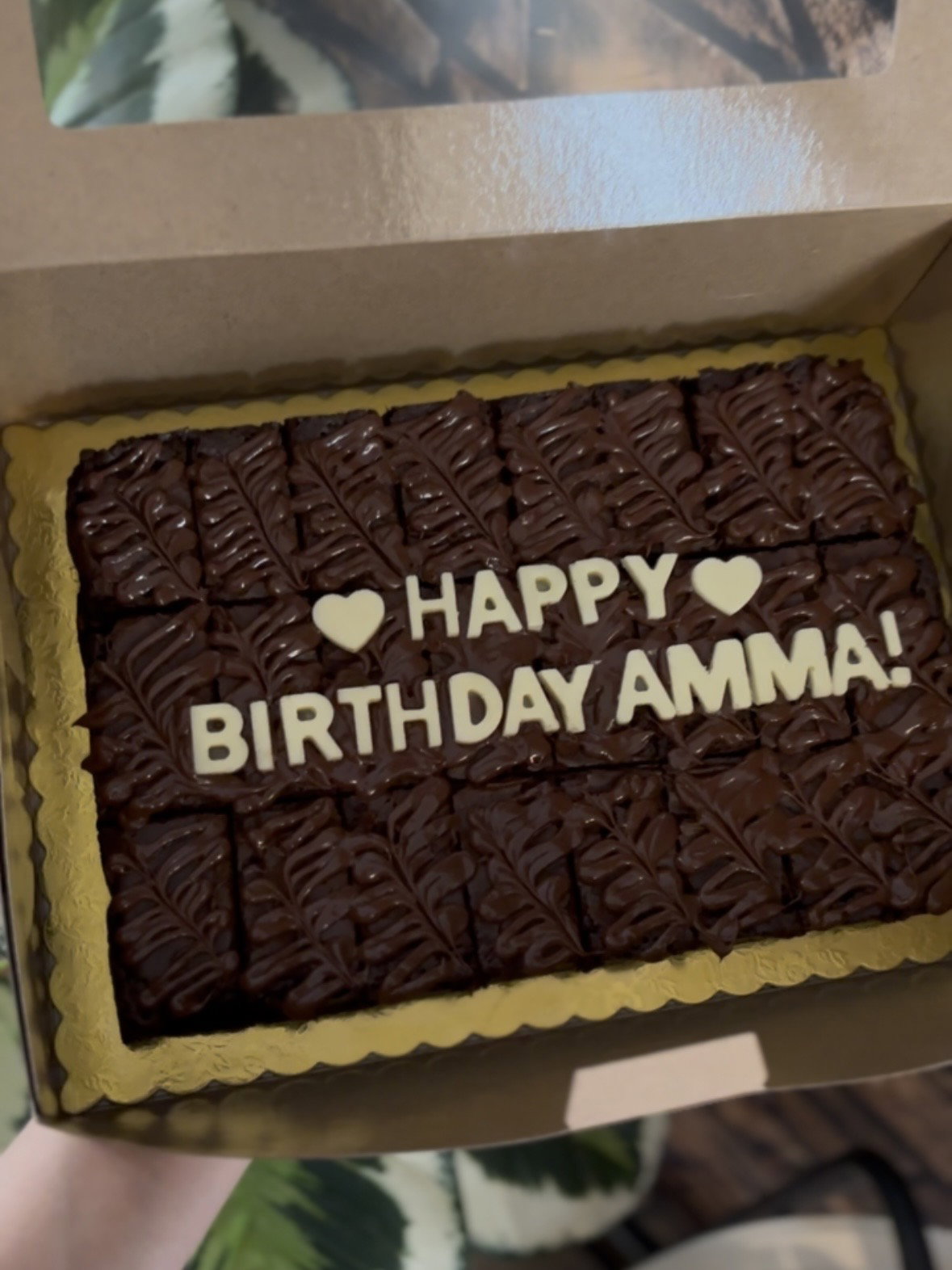 Medium Brownie (9' x 6' inch) _3