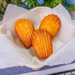 Madeleines