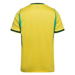 Brazil NT Nike AEROFIT Kit 26