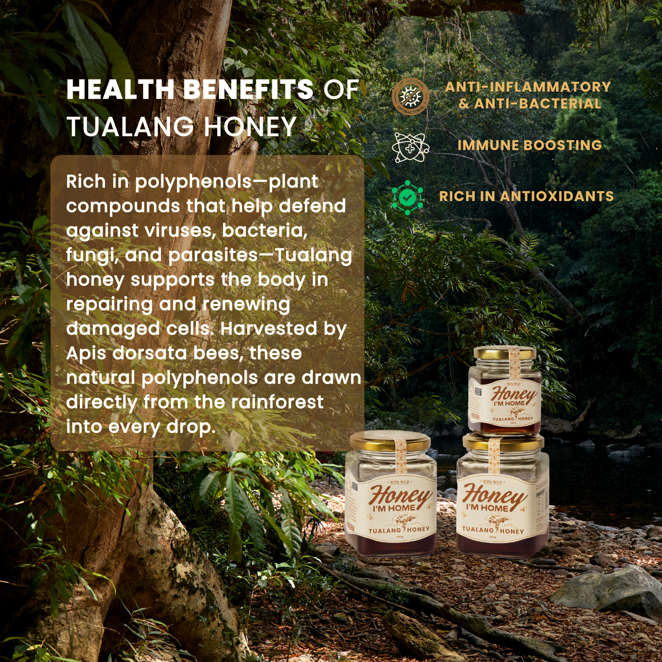 Selected Harvest Tualang Honey (385g)_3
