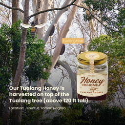 Selected Harvest Tualang Honey (50g)