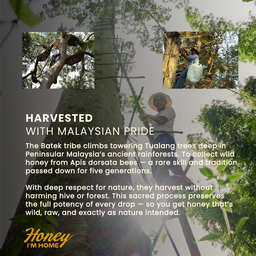 Selected Harvest Tualang Honey (50g)