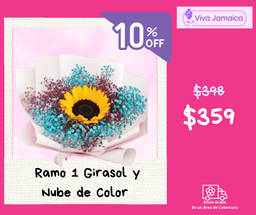 Un Girasol y Nube de Color