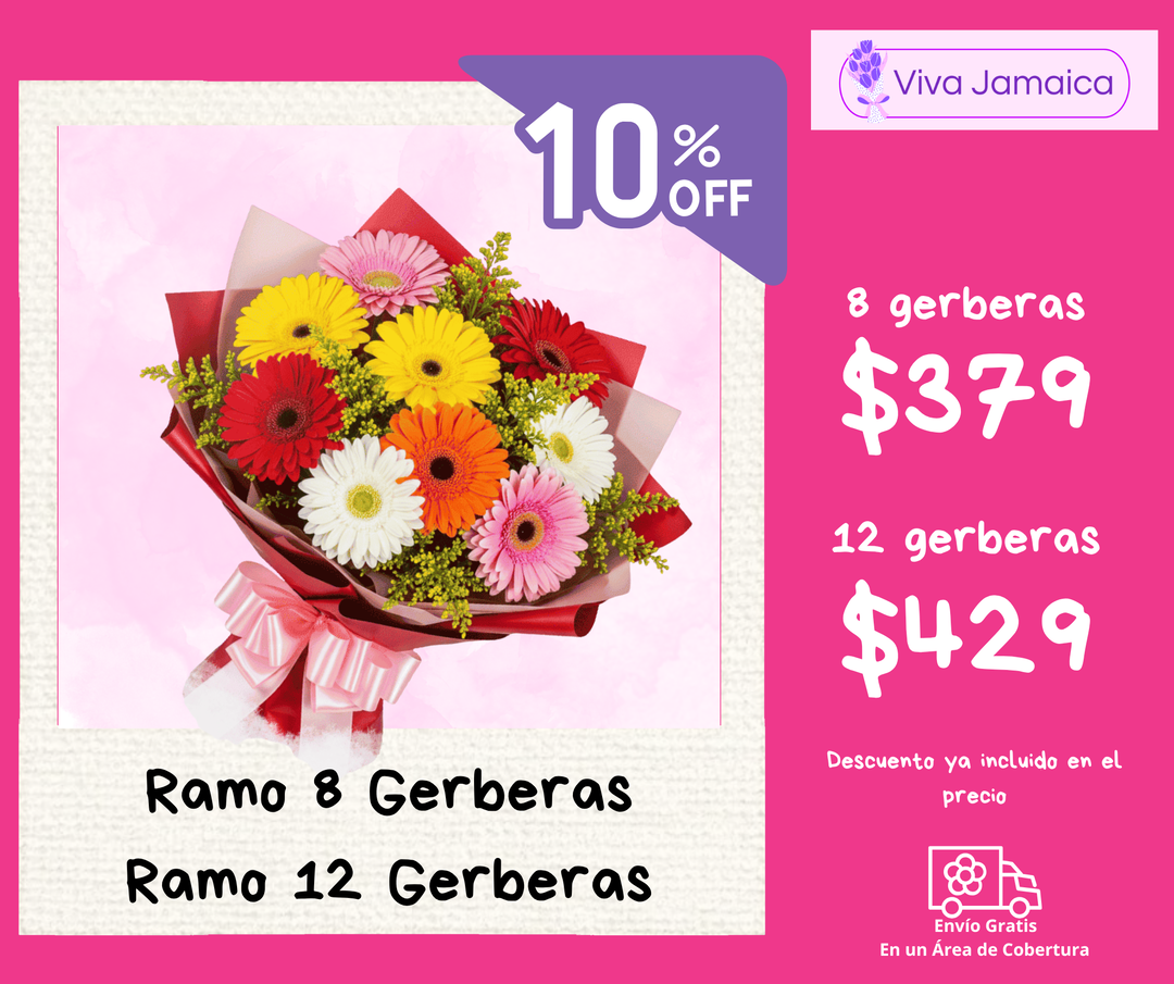 Ramo 8 / 12 Gerberas