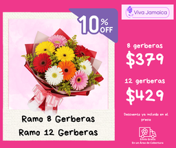 Ramo 8 / 12 Gerberas