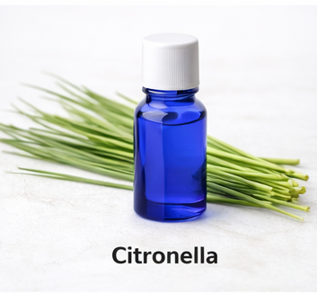 Citronella essential oil_0