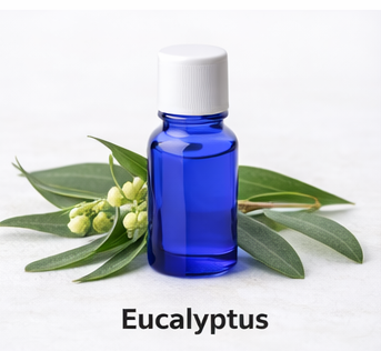 Eucalyptus essential oil ETA: October 02, 2026