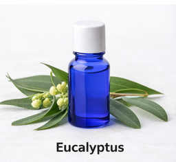 Eucalyptus essential oil ETA: October 02, 2026