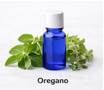 Oregano essential oil