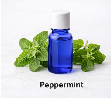 Peppermint essential oil (Piperita) ETA: October 02, 2026