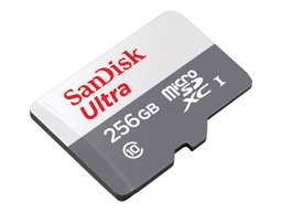 Sandisk Carte mémoire 256 GB