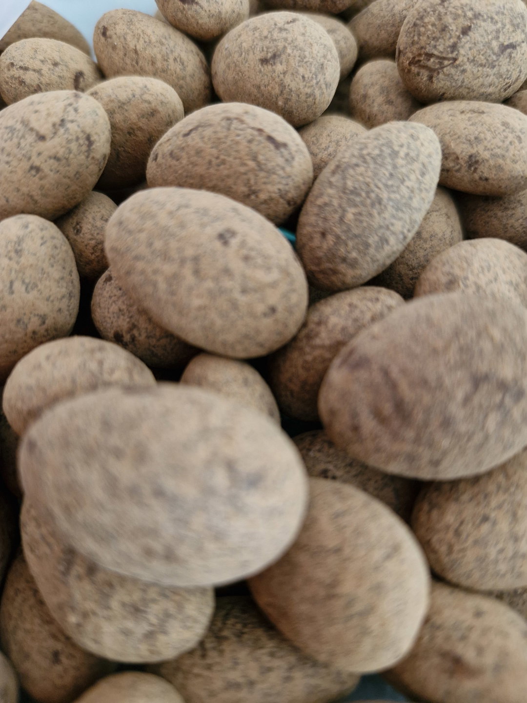 Almendra con cacao en polvo 