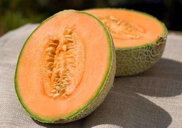 Cantaloupe 