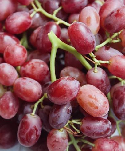 Grapes _0