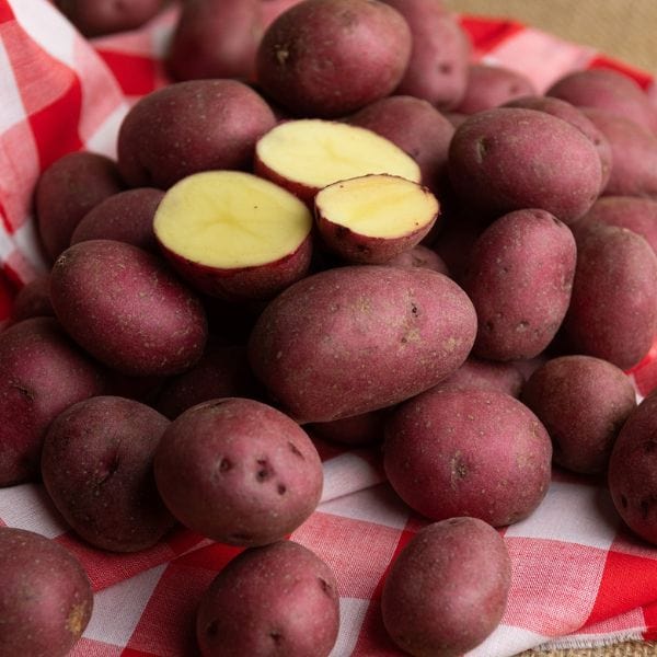 Mini Red Potatoes 