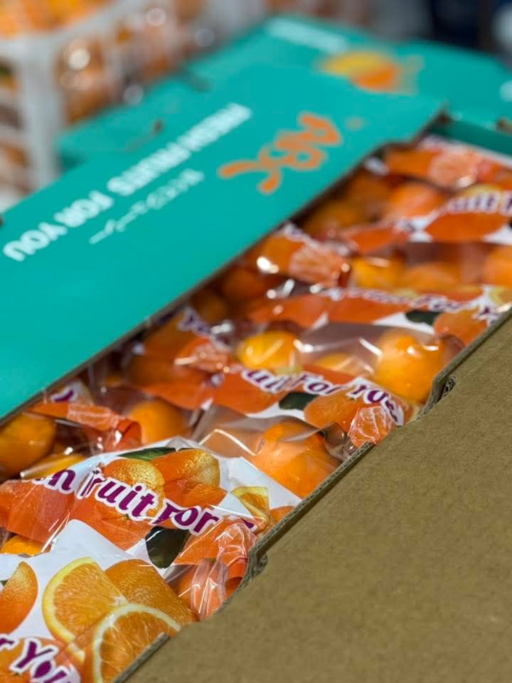 Japan Kiat (By the Box) _1