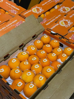 Wogan Mandarin (By the Box) 