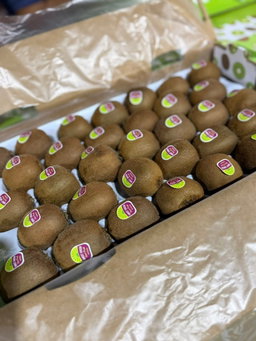 Kiwi Green (By the Box) 