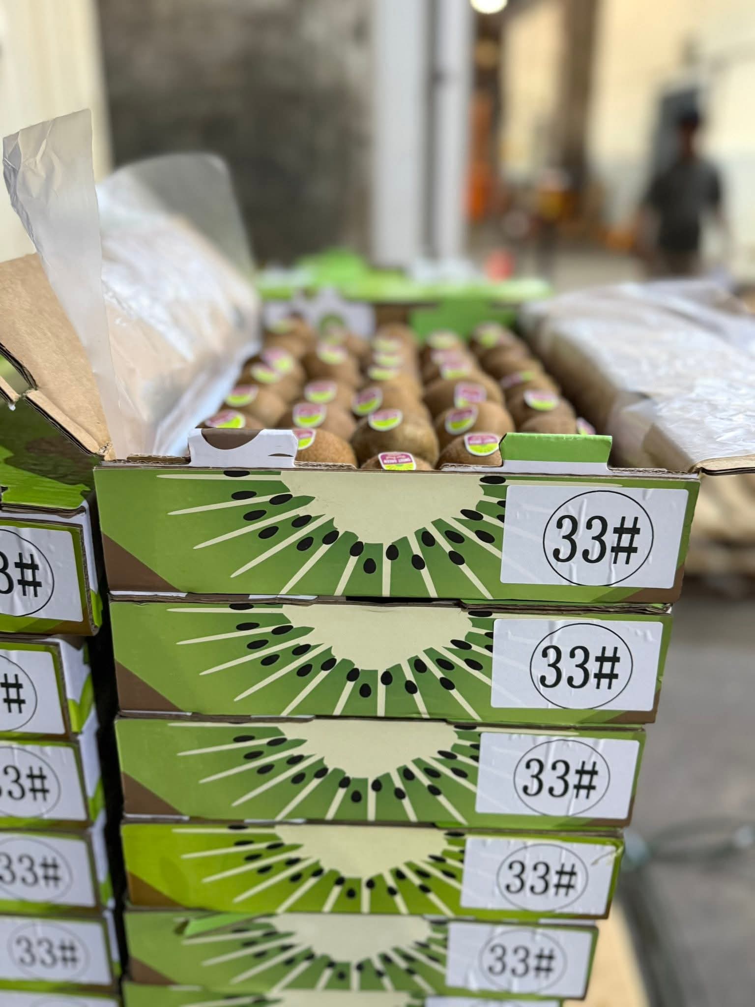 Kiwi Green (By the Box) _3