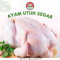 🐔 Ayam Utuh