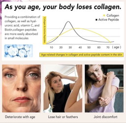 Multi collegen peptides 